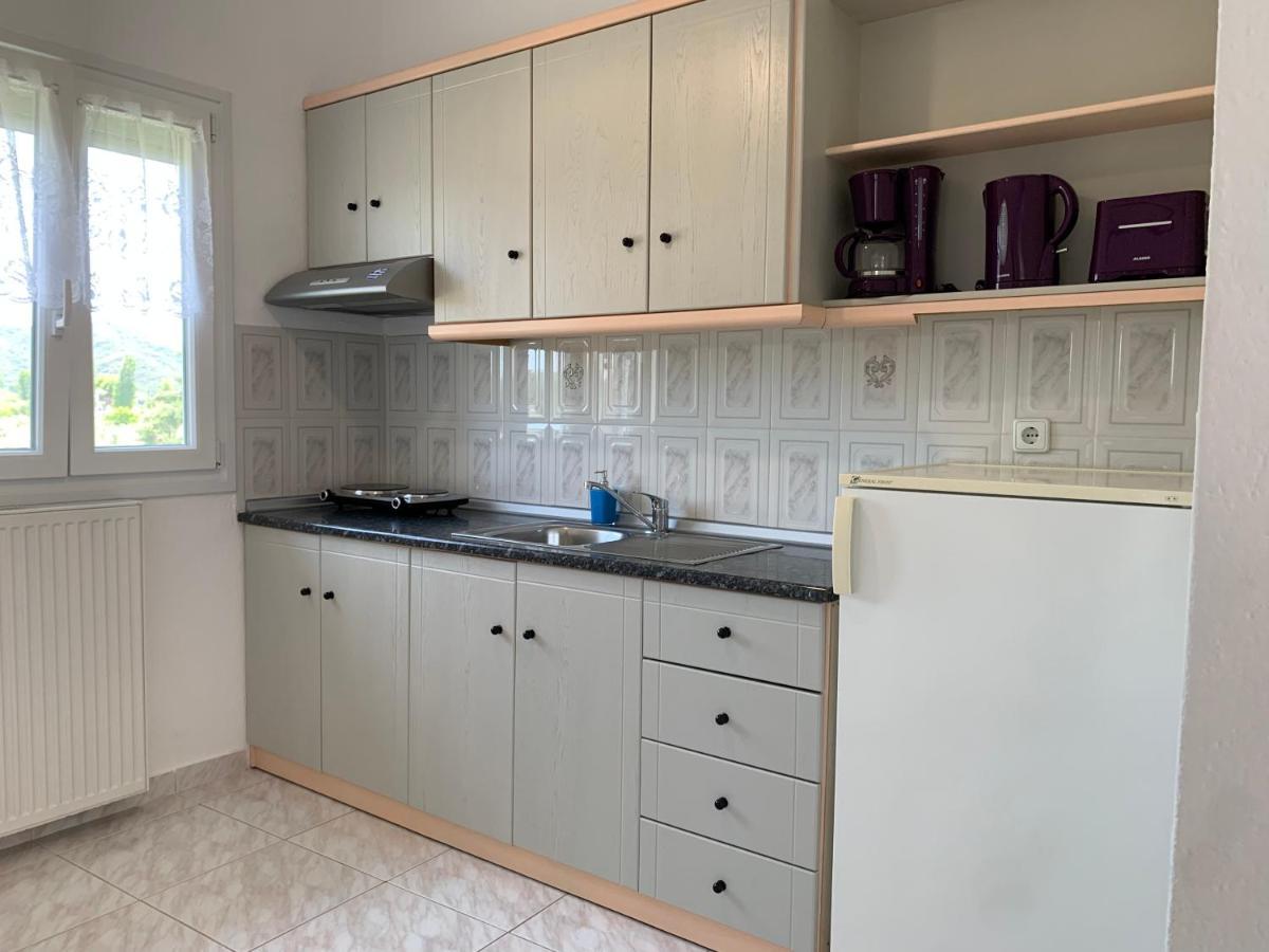 Nikolaidis House Lägenhet Sykia Chalkidikis Exteriör bild
