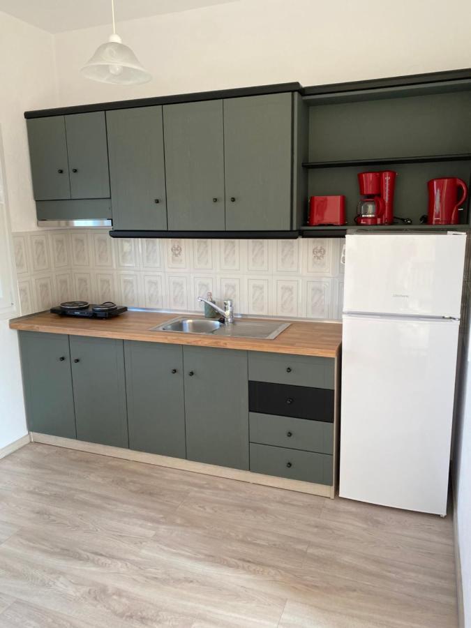 Nikolaidis House Lägenhet Sykia Chalkidikis Exteriör bild