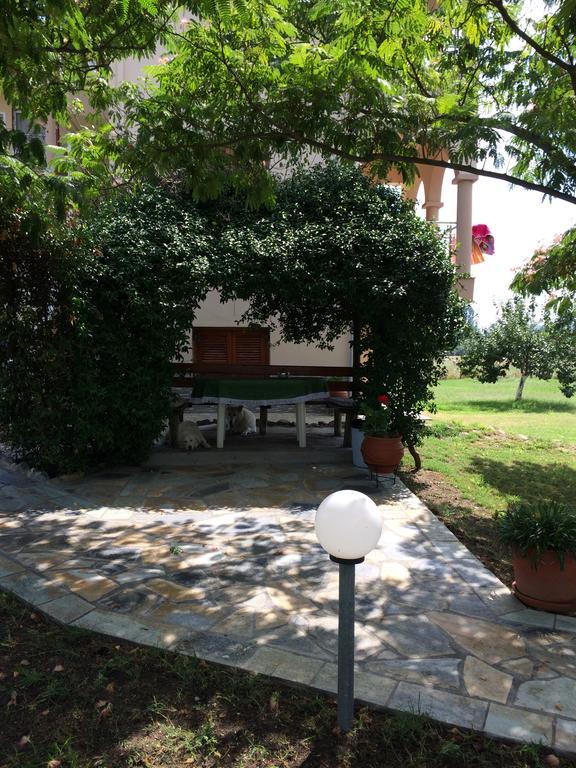 Nikolaidis House Lägenhet Sykia Chalkidikis Exteriör bild